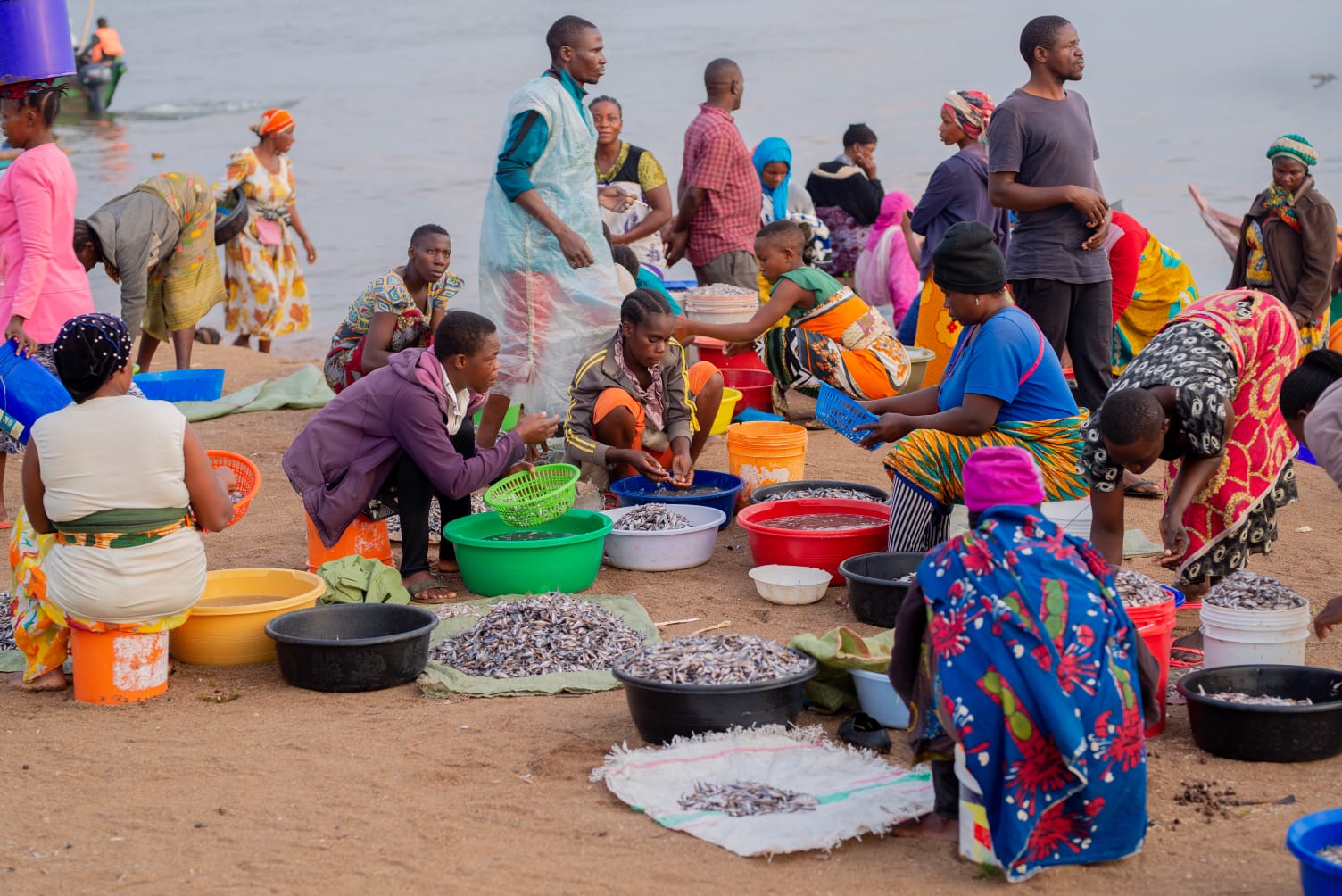 PODCAST Ep. 9: Women, fish and COVID impacts on African food systems